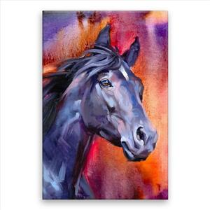 Obraz na plátne - Čierny žrebec - 40x60 cm