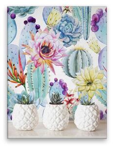 Obraz na plátne - Kaktusy v bielom kvetináči - 30x40 cm