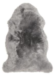 Sivá ovčia kožušina Selection, 60 x 90 cm