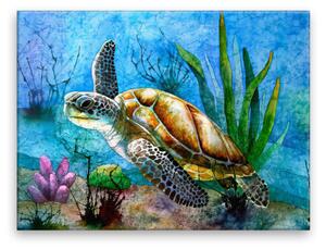 Obraz na plátne - Morská korytnačka - 40x30 cm
