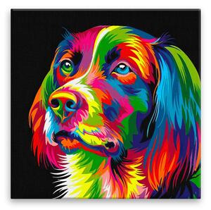 Obraz na plátne - Pohľad psa vo farbách - 40x40 cm