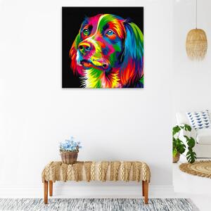 Obraz na plátne - Pohľad psa vo farbách - 40x40 cm
