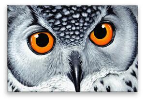 Obraz na plátne - Oranžové sovie oči - 120x80 cm