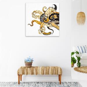 Obraz na plátne - Chobotnica - 40x40 cm