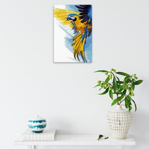 Obraz na plátne - Papagáj v letu - 40x60 cm