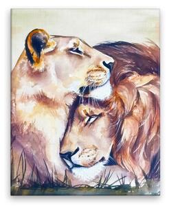 Obraz na plátne - Láska leva - 40x50 cm