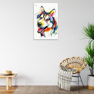 Obraz na plátne - Husky vo farbách - 40x60 cm
