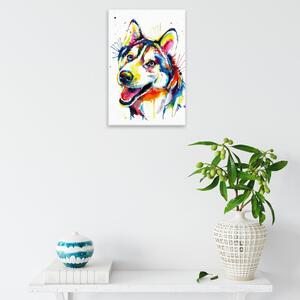 Obraz na plátne - Husky vo farbách - 40x60 cm