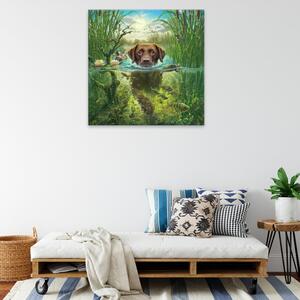 Obraz na plátne - Pes v rieke - 40x40 cm