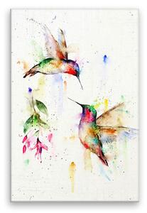Obraz na plátne - Dva kolibríky - 40x60 cm