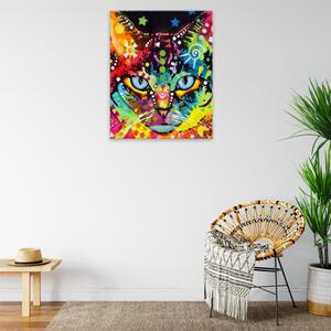 Obraz na plátne - Pestrá hlava mačky - 40x50 cm
