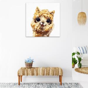 Obraz na plátne - Usmievavá lama - 40x40 cm
