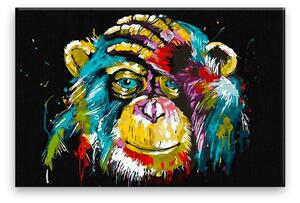 Obraz na plátne - Šimpanz vo farbách - 60x40 cm