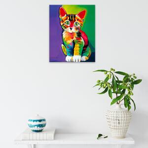 Obraz na plátne - Farebné mačiatko - 40x50 cm
