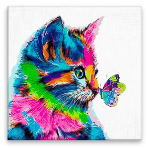 Obraz na plátne - Mačiatko s motýľom vo farbách - 40x40 cm