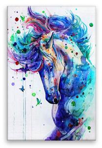 Obraz na plátne - Žrebec vo farbách - 40x60 cm