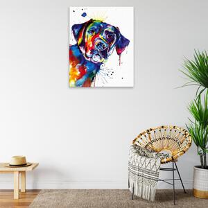 Obraz na plátne - Pestrofarebný labrador - 40x50 cm