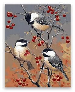 Obraz na plátne - Tri vtáčiky - 40x50 cm