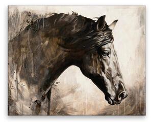 Obraz na plátne - Pohľad koňa - 50x40 cm