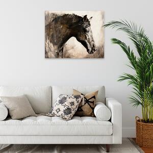 Obraz na plátne - Pohľad koňa - 50x40 cm