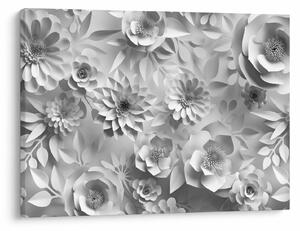 Obraz - Biele kvety (70x50 cm)