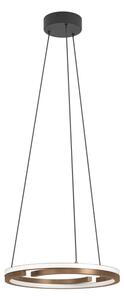 Eglo 901826 - LED stmievateľný luster na lankách MEZZOMONTE 2xLED/20W/230V bronz + diaľkové ovládanie
