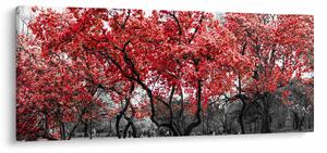Obraz - Červené stromy, Central Park, New York (120x50 cm)