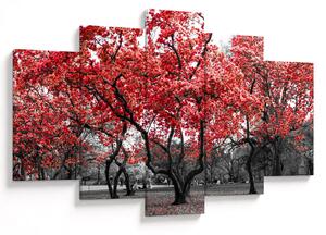 Obraz - Červené stromy, Central Park, New York (150x105 cm)