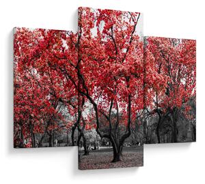 Obraz - Červené stromy, Central Park, New York (90x60 cm)