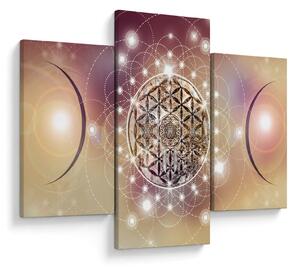Obraz - Mandala s elementmi (90x60 cm)