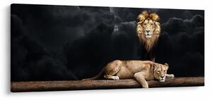 Obraz - Lev a levice v oblakoch (120x50 cm)
