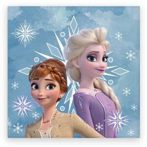 DETSKÝ FROTÉ UTERÁK FROZEN 30X30 CM VZOROVANÝ