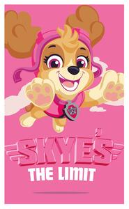 DETSKÝ FROTÉ UTERÁK PAW PATROL 30X50 CM VZOROVANÝ