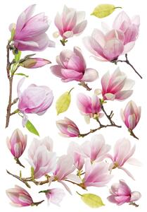 Samolepiaca dekorácia Magnolia Flowers, 42,5 x 65 cm