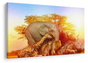 Obraz afrických zvieratiek (90x60 cm)