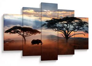 Obraz - Národný park Serengeti, Tanzánia, Afrika (150x105 cm)