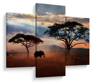 Obraz - Národný park Serengeti, Tanzánia, Afrika (90x60 cm)