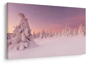 Obraz - Stromy pod snehovou prikrývkou (90x60 cm)