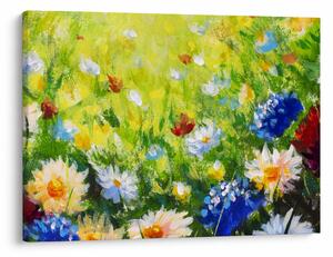 Obraz rozkvitnutej lúky, olejomaľba (70x50 cm)