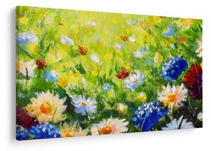 Obraz rozkvitnutej lúky, olejomaľba (90x60 cm)