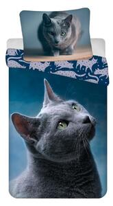 JERRY FABRICS Obliečky britská mačka Dark Cat Bavlna, 140/200, 70/90 cm