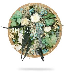 Bemoss® - E-SHOP - Machový obraz kruh Rastliny Mures