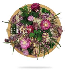 Bemoss® - E-SHOP - Machový obraz kruh Rastliny Alomartes