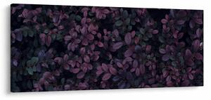 Obraz tmavočervených lístočkov (120x50 cm)
