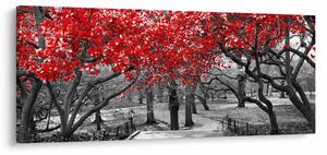 Obraz - Červené stromy, Central Park, New York (120x50 cm)