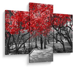 Obraz - Červené stromy, Central Park, New York (90x60 cm)