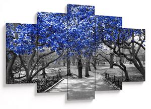 Obrázok - Modré stromy, Central Park, New York (150x105 cm)