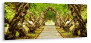 Obraz - Živý tunel z plumérií (120x50 cm)
