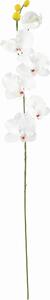 UMELÝ KVET orchidea 72 cm - Kvety & kvetináče