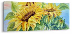 Obraz rozkvitnutých slnečníc (120x50 cm)